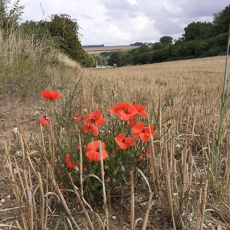 14-18 Somme Bed & Breakfast *