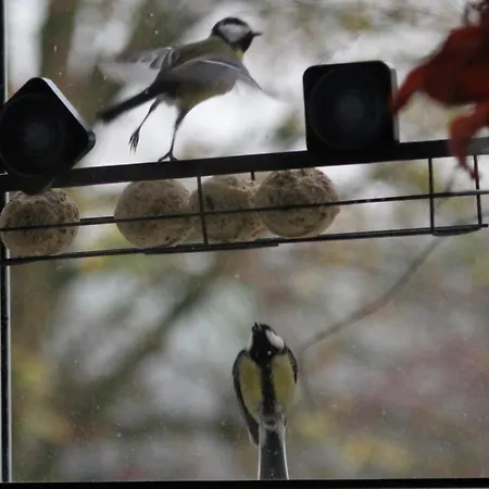 14-18 Somme * Beaucourt-sur-l'Ancre