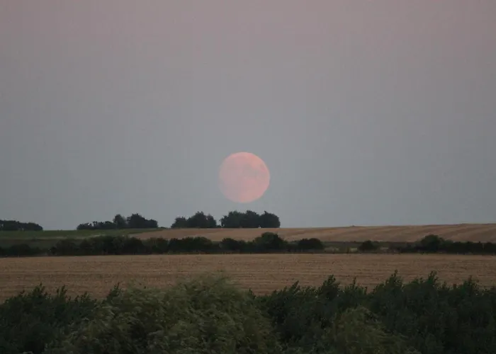 Couette-café 14-18 Somme *