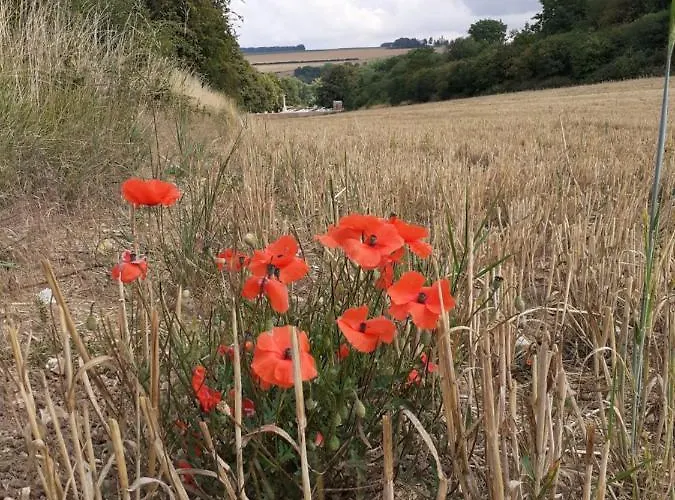 14-18 Somme Couette-café *