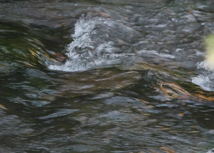 14-18 Somme Beaucourt-sur-l'Ancre