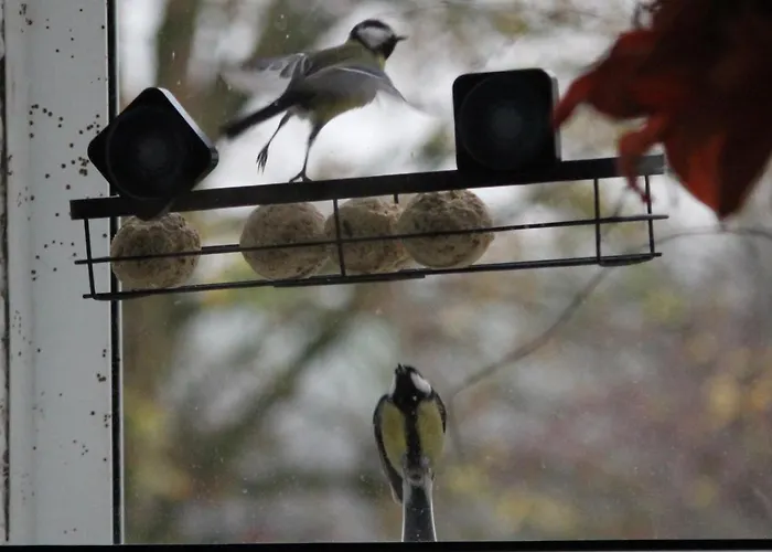 14-18 Somme * Beaucourt-sur-l'Ancre